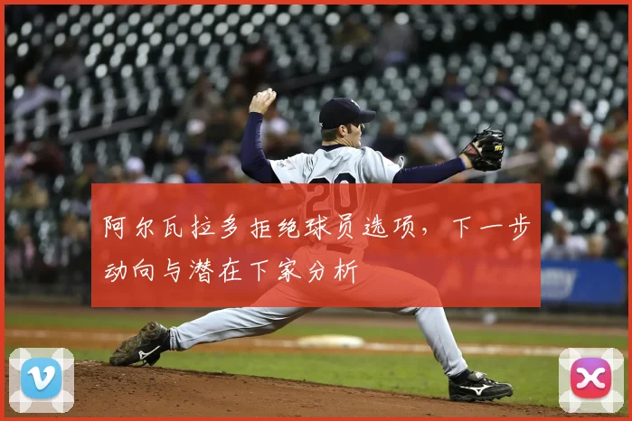 阿尔瓦拉多拒绝球员选项，下一步动向与潜在下家分析