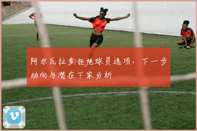 阿尔瓦拉多拒绝球员选项,下一步动向与潜在下家分析